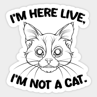 i'm here live i'm not a cat. Sticker